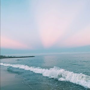 Meet your Posher, Ava